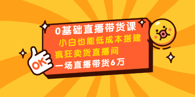 0基础直播带货课：小白也能低成本搭建疯狂卖货直播间：1场直播带货6万-福喜网创