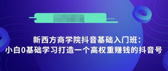 抖音基础入门班：小白0基础学习打造一个高权重赚钱的抖音号-福喜网创