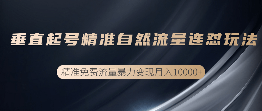 垂直起号精准自然流量连爆玩法，精准引流暴力变现月入10000+-福喜网创