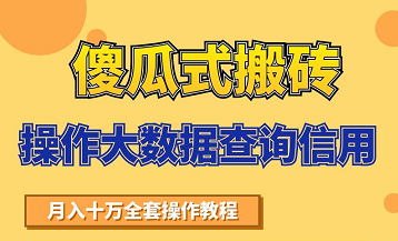 搬砖操作大数据查询信用项目赚钱教程，祝你快速月入6万-福喜网创