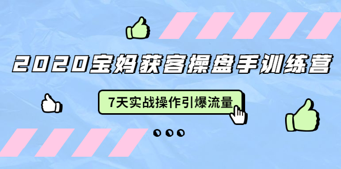 2020宝妈获客操盘手训练营：7天实战操作引爆 母婴、都市、购物宝妈流量-福喜网创