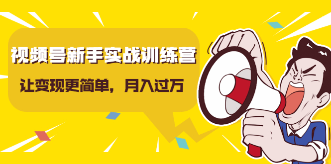 视频号新手实战训练营，让变现更简单，玩赚视频号，轻松月入过万-福喜网创