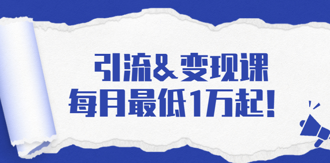 引流&变现课：分享一整套流量方法以及各个渠道收入，每月最低1万起！-福喜网创