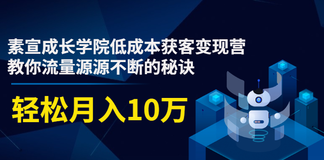 素宣成长学院低成本获客变现营，教你流量源源不断的秘诀，轻松月入10万-福喜网创