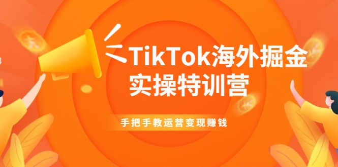 TikTok海外掘金实操特训营：手把手教运营变现赚钱-福喜网创