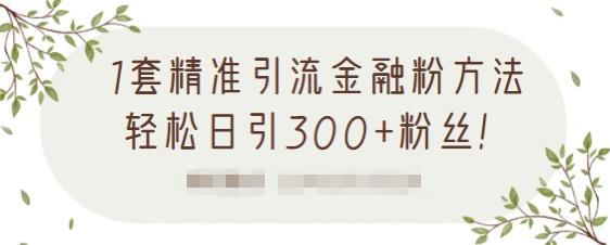 1套精准引流金融粉方法，轻松日引300+粉丝-福喜网创