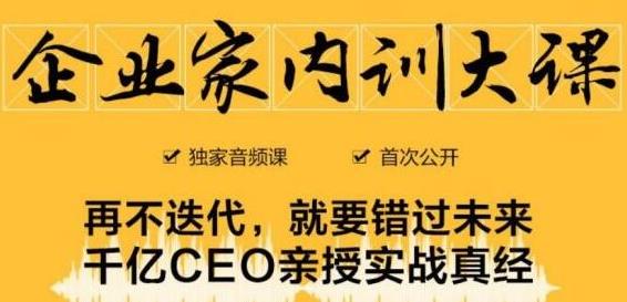 企业家内训大课，未来企业必学经验，价值1299元-福喜网创