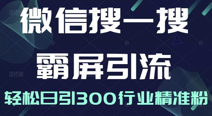 微信搜一搜霸屏引流课，打造被动精准引流系统，轻松日引300行业精准粉-福喜网创