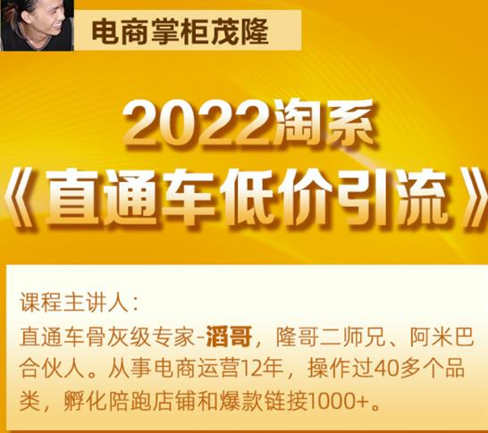 茂隆2022直通车低价引流玩法，教大家如何低投入高回报的直通车玩法-福喜网创