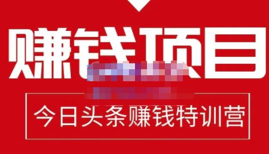 懒人领域·今日头条项目玩法，头条中视频项目，单号收益在50—500可批量-福喜网创