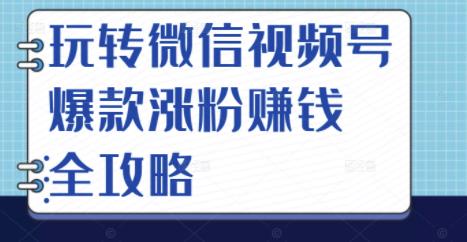 玩转微信视频号爆款涨粉赚钱全攻略，让你快速抓住流量风口，收获红利财富-福喜网创