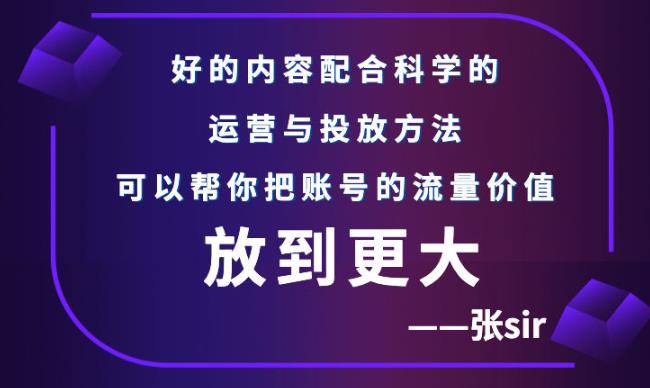 张sir账号流量增长课，告别海王流量，让你的流量更精准-福喜网创