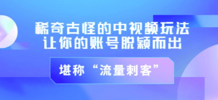 不讲李·稀奇古怪的冷门中视频冷门玩法，让你的账号脱颖而出，成为流量刺客！（图文+视频）-福喜网创