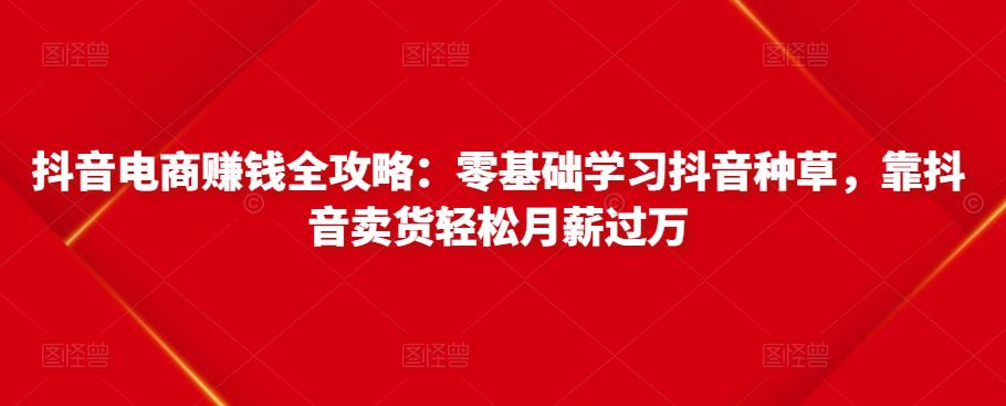 抖音电商赚钱全攻略：零基础学习抖音种草，靠抖音卖货轻松月薪过万-福喜网创