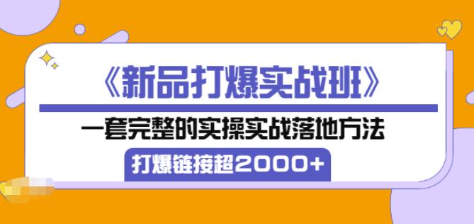 凌童《新品打爆实战班》,一套完整的实操实战落地方法，打爆链接超2000+（28节课)-福喜网创