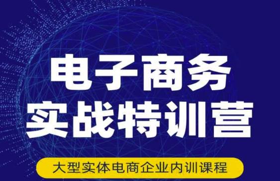 民赛电气内部出品：电子商务实战特训营，全方位带你入门电商，308种方式玩转电商-福喜网创