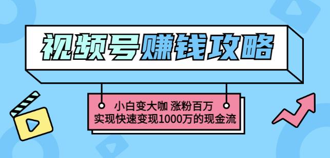 玩转微信视频号赚钱：小白变大咖涨粉百万实现快速变现1000万的现金流-福喜网创