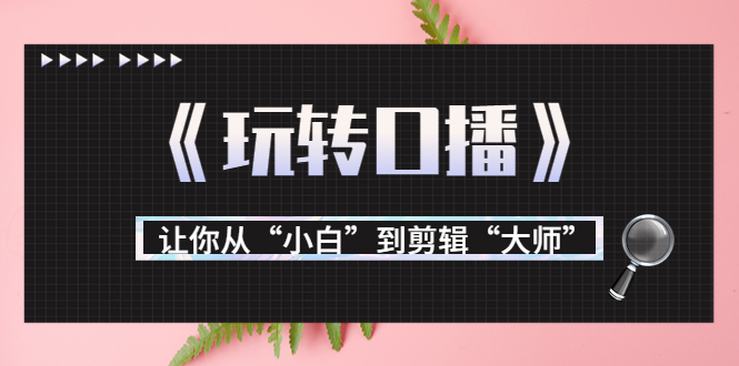 月营业额700万+大佬教您《玩转口播》让你从“小白”到剪辑“大师”-福喜网创