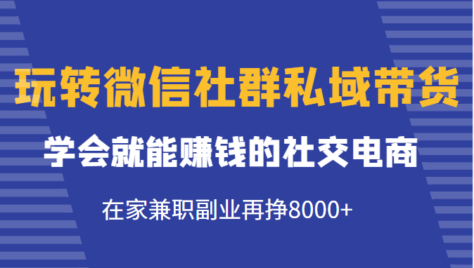 玩转微信社群私域带货，学会就能赚钱的社交电商，在家兼职副业再挣8000+-福喜网创