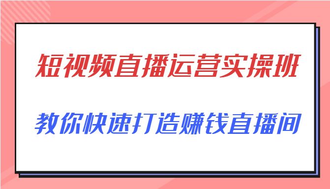 短视频直播运营实操班，直播带货精细化运营实操，教你快速打造赚钱直播间-福喜网创