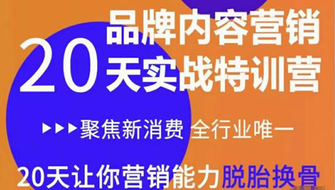 《内容营销实操特训营》20天让你营销能力脱胎换骨（价值3999）-福喜网创