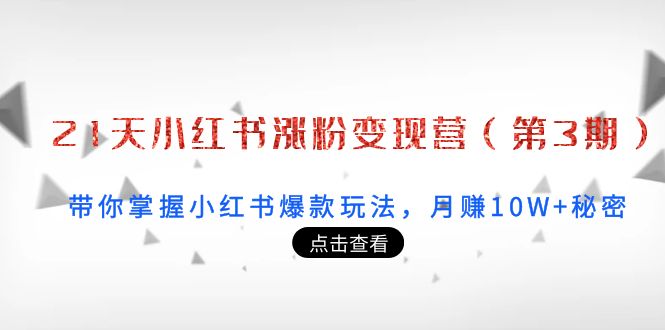 21天小红书涨粉变现营（第3期）：带你掌握小红书爆款玩法，月赚10W+秘密-福喜网创