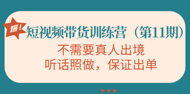 视频带货训练营，不需要真人出境，听话照做，保证出单（第11期）-福喜网创