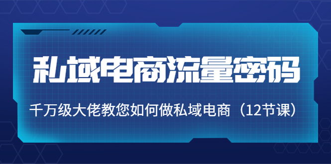 私域电商流量密码：千万级大佬教您如何做私域电商（12节课）-福喜网创