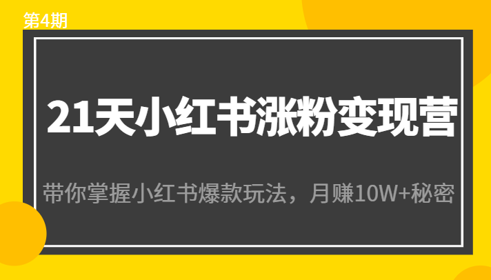 21天小红书涨粉变现营（第4期）：带你掌握小红书爆款玩法，月赚10W+秘密-福喜网创