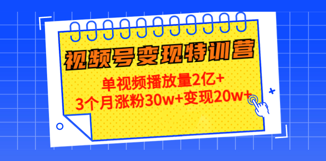 21天视频号变现特训营：单视频播放量2亿+3个月涨粉30w+变现20w+（第14期）-福喜网创