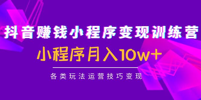 抖音赚钱小程序变现训练营：小程序月入10w+各类玩法运营技巧变现-福喜网创