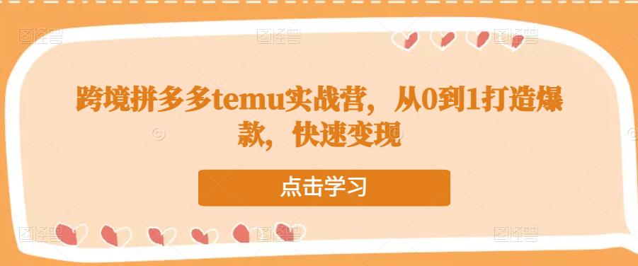 跨境拼多多temu实战营，从0到1打造爆款，快速变现-福喜网创