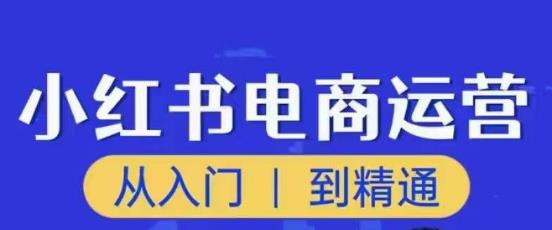 顽石小红书电商高阶运营课程，从入门到精通，玩法流程持续更新-福喜网创