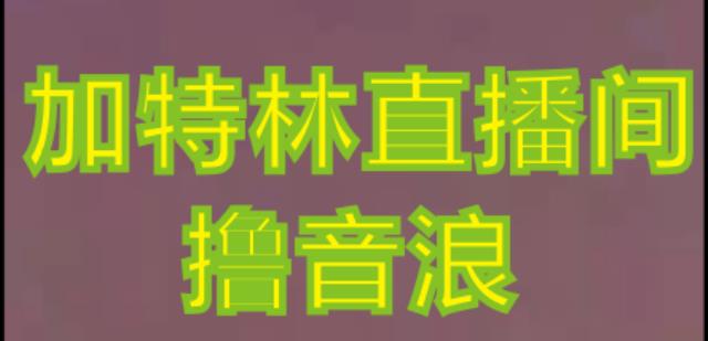 抖音加特林直播间搭建技术，抖音0粉开播，暴力撸音浪，2023新口子，每天800+【素材+详细教程】-福喜网创