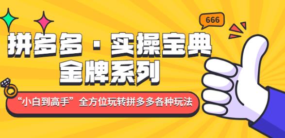 拼多多·实操宝典：金牌系列“小白到高手”带你全方位玩转拼多多各种玩法-福喜网创