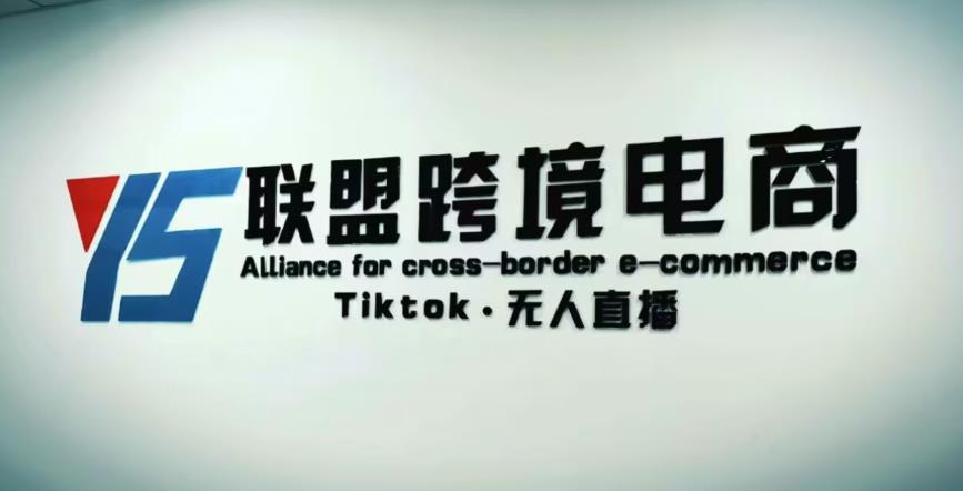 YS联盟·Tiktok无人直播，不出镜不剪辑不拍摄不发货无售后的跨境短视频躺赚玩法-福喜网创