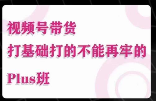 大播汇·视频号带货Puls班，视频号底层逻辑，起号自然流鱼塘等玩法-福喜网创