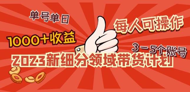 2023新细分领域带货计划：单号单日1000+收益不难，每人可操作3-5个账号-福喜网创