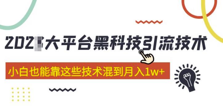 大平台黑科技引流技术，小白也能靠这些技术混到月入1w+(2022年的课程）-福喜网创