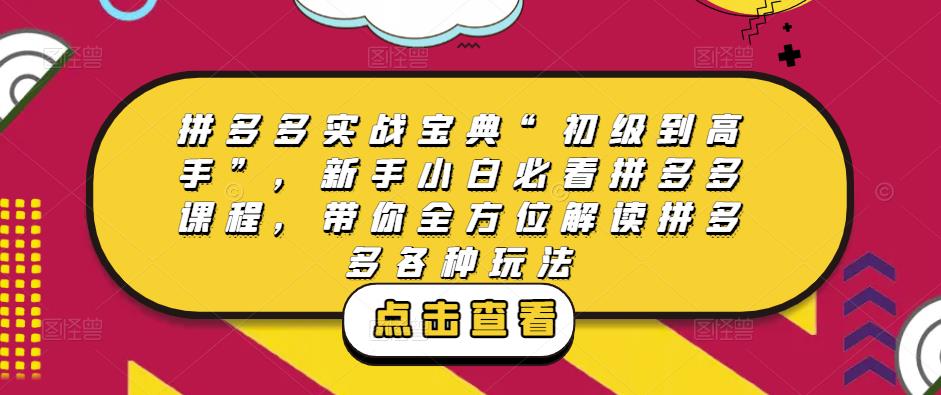 拼多多实战宝典“初级到高手”，新手小白必看拼多多课程，带你全方位解读拼多多各种玩法-福喜网创