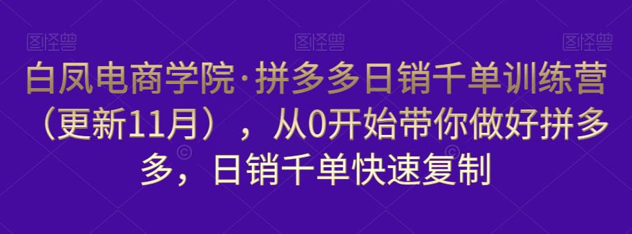 白凤电商学院·拼多多日销千单训练营，从0开始带你做好拼多多，日销千单快速复制（更新知2023年3月）-福喜网创