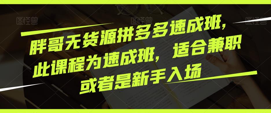 胖哥无货源拼多多速成班，此课程为速成班，适合兼职或者是新手入场-福喜网创