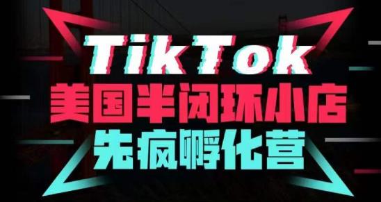 疯人院·TikTok美国半闭环小店孵化营，抢占TikTok美国蓝海市场，开店、运营、带货、投流全实操-福喜网创