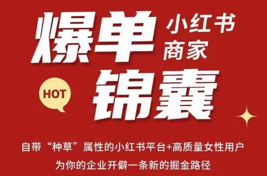 无畏·小红书商家爆单锦囊，掌握小红书各大规则，快速精准抢占行业和市场-福喜网创