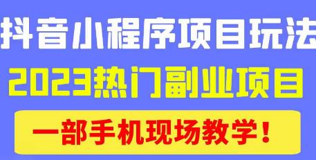 抖音小程序9.0新技巧，2023热门副业项目，动动手指轻松变现-福喜网创