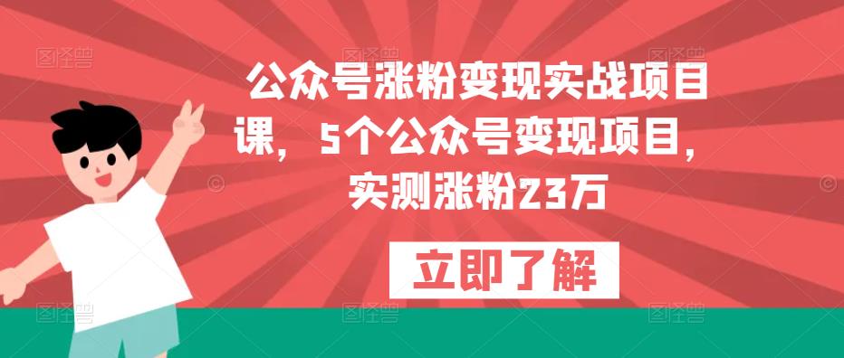 公众号涨粉变现实战项目课，5个公众号变现项目，实测涨粉23万-福喜网创