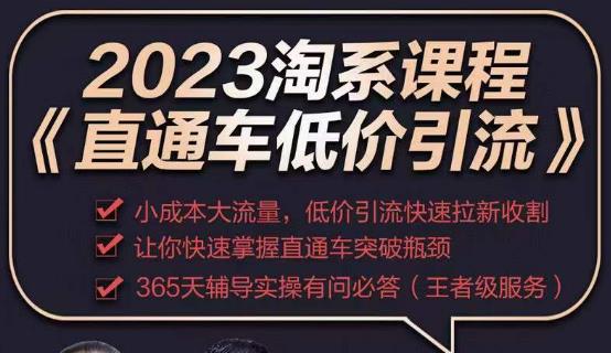 2023直通车低价引流玩法课程，小成本大流量，低价引流快速拉新收割，让你快速掌握直通车突破瓶颈-福喜网创