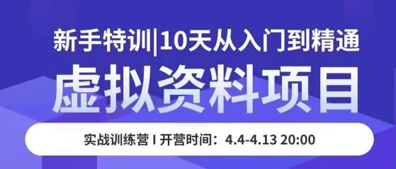 虚拟资料项目新手特训，10天从入门到精通，保姆级实操教学-福喜网创