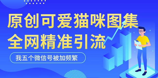 黑科技纯原创可爱猫咪图片，全网精准引流，实操5个VX号被加频繁-福喜网创