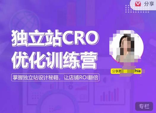 独立站CRO优化训练营，掌握独立站设计秘籍，打造高转化的独立站，让店铺ROI翻倍-福喜网创